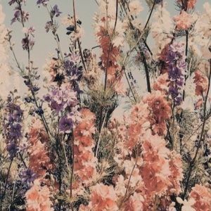 Meet your Posher, Abbey